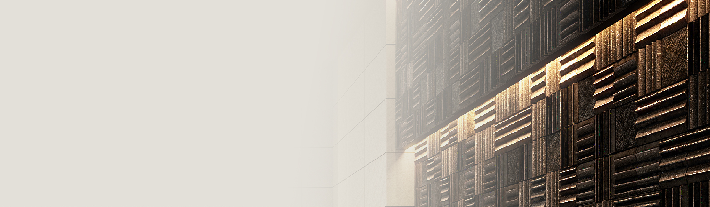the LAYER