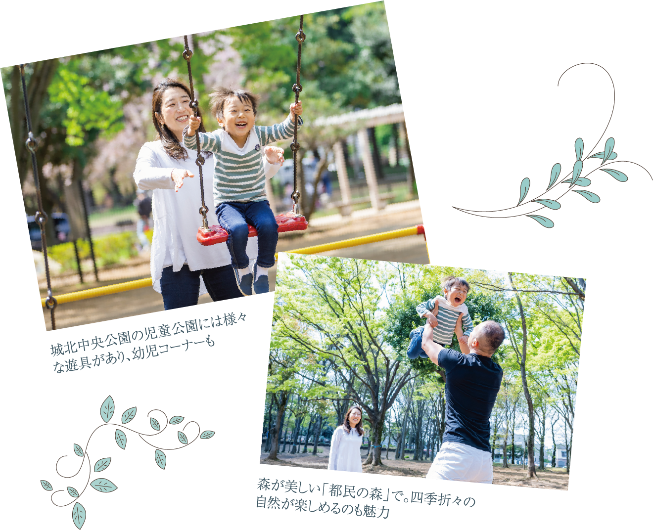城北中央公園の児童公園には様々な遊具があり、幼児コーナーも森が美しい「都民の森」で。四季折々の自然が楽しめるのも魅力