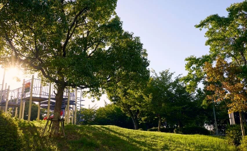 苔谷公園