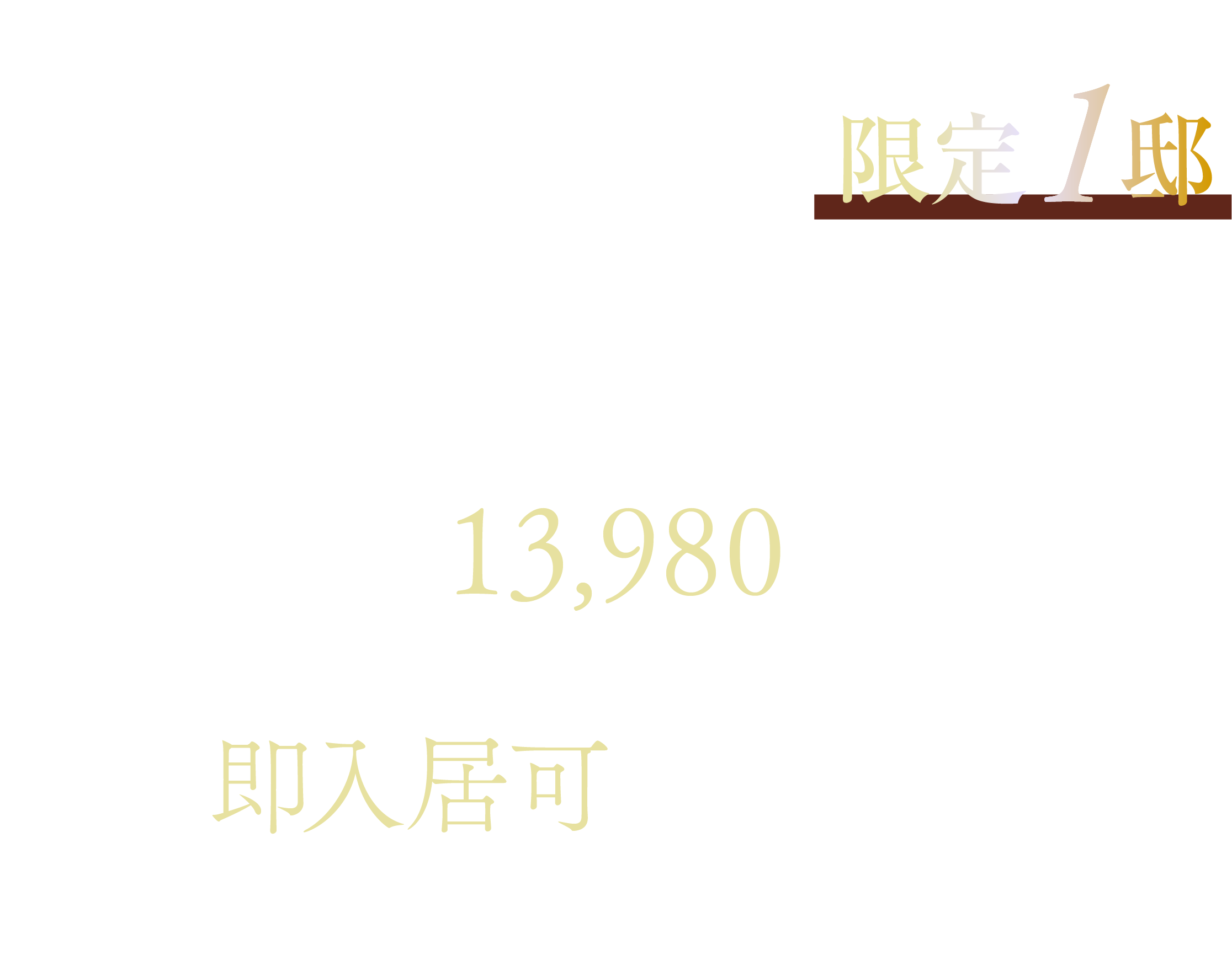 キャンセル住戸発生。1邸のみ ／ 1101号室 4LDK 92㎡超 最上階 角住戸 販売価格13,980万円（税込） ／ 即入居可 ※諸手続き完了後。