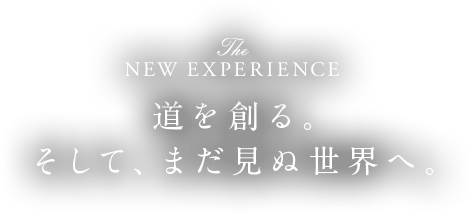 The NEW EXPERIENCE