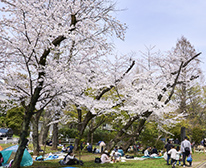 別所沼公園