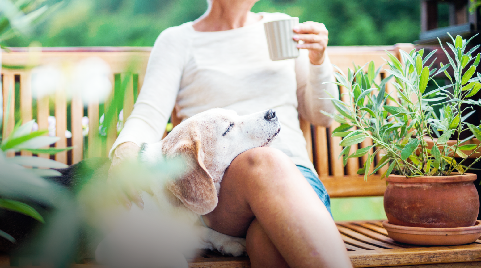 読書を楽しむ週末の昼下がり。陽だまりに爽やかな風が通り抜けていく。